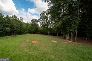 971 Bo Bo Banks Rd, Grantville, GA 30220 - Photo 50