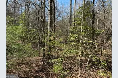 343 Hank Fry Rd, Clarkesville, GA 30523 - Photo 2