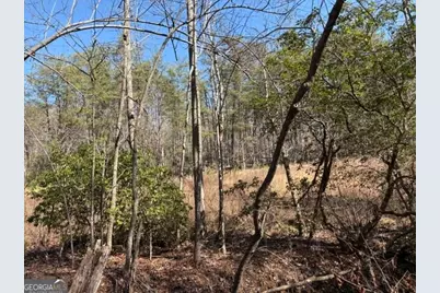 343 Hank Fry Rd, Clarkesville, GA 30523 - Photo 8