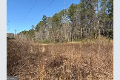 343 Hank Fry Rd, Clarkesville, GA 30523 - Photo 12
