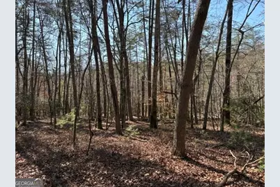 343 Hank Fry Rd, Clarkesville, GA 30523 - Photo 16