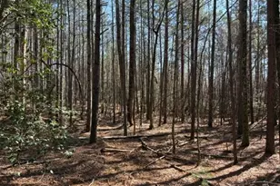 343 Hank Fry Rd, Clarkesville, GA 30523 - Photo 1