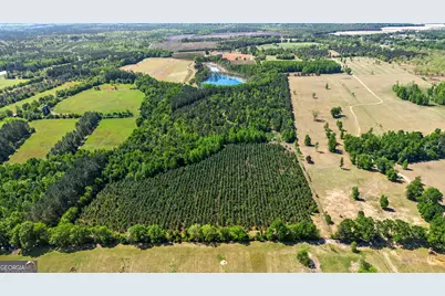 0 Perkins Greenfork Road, Millen, GA 30442 - Photo 4