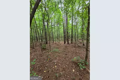 0 Brownlee Road, Forsyth, GA 31029 - Photo 8