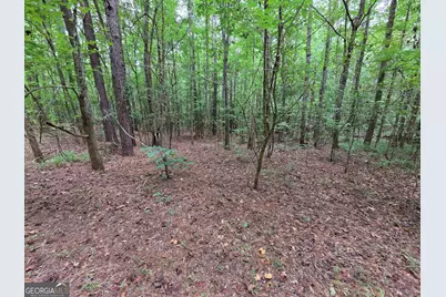 0 Brownlee Road, Forsyth, GA 31029 - Photo 6