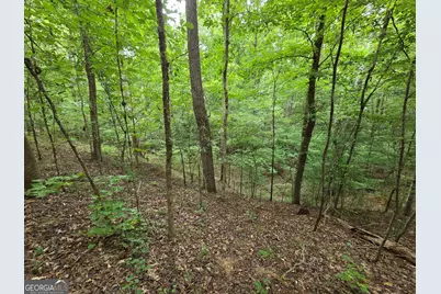 0 Brownlee Road, Forsyth, GA 31029 - Photo 18