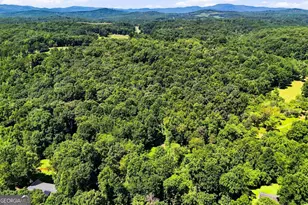 175 Hidden Forest, Blue Ridge, GA 30513 - Photo 48