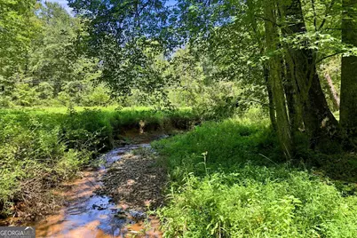 175 Hidden Forest, Blue Ridge, GA 30513 - Photo 50
