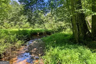 175 Hidden Forest, Blue Ridge, GA 30513 - Photo 50