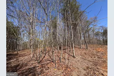 0 Highway 129 N, Cleveland, GA 30528 - Photo 1
