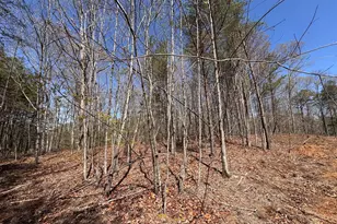 0 Hwy 129 N, Cleveland, GA 30528 - Photo 1