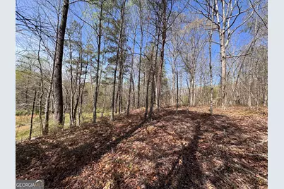 0 Highway 129 N, Cleveland, GA 30528 - Photo 2