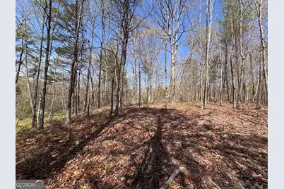 0 Highway 129 N, Cleveland, GA 30528 - Photo 4