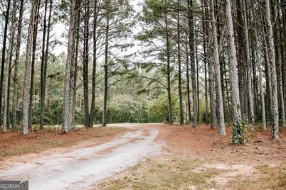 55 Stevens Grove Church Road, Lexington, GA 30648 - Photo 60