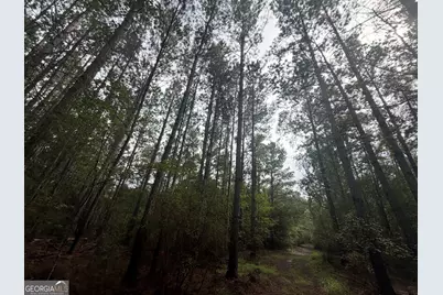 0 Jamestown Road, Waycross, GA 31053 - Photo 50