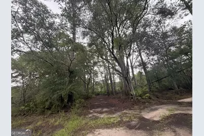 0 Jamestown Road, Waycross, GA 31053 - Photo 92