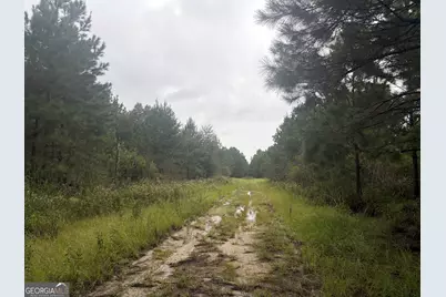 0 Jamestown Road, Waycross, GA 31053 - Photo 88