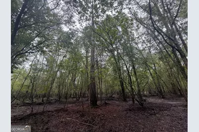 0 Jamestown Road, Waycross, GA 31053 - Photo 80