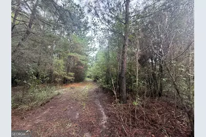 0 Jamestown Road, Waycross, GA 31053 - Photo 64