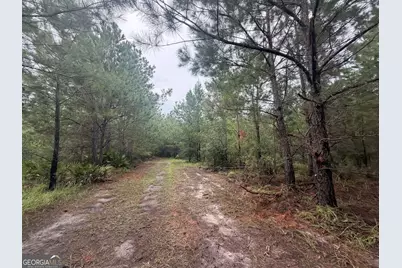 0 Jamestown Road, Waycross, GA 31053 - Photo 66