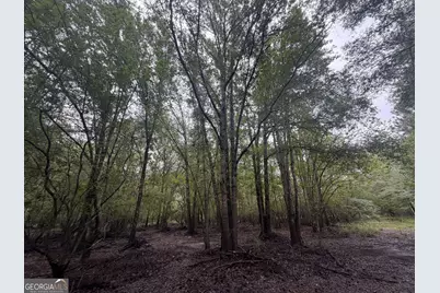 0 Jamestown Road, Waycross, GA 31053 - Photo 82