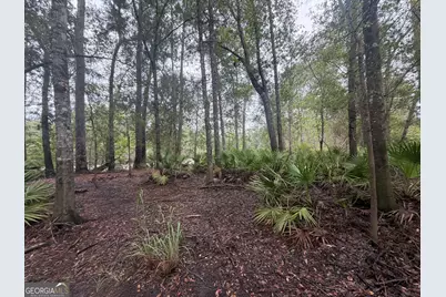 0 Jamestown Road, Waycross, GA 31053 - Photo 28