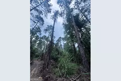 00 Cleon Shuman Road, Collins, GA 30421 - Photo 2