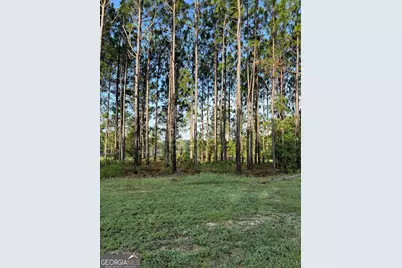 118 East Lake Drive, Statesboro, GA 30458 - Photo 6