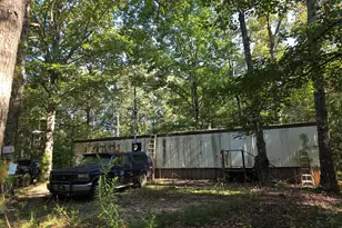 3585 Old Hwy 100, Tallapoosa, GA 30176 - Photo 2
