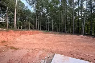 167 Iron Bound Trail, Dallas, GA 30132 - Photo 10
