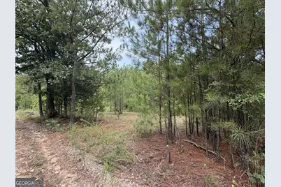 0 Smith Mill Road, Monticello, GA 31064 - Photo 2