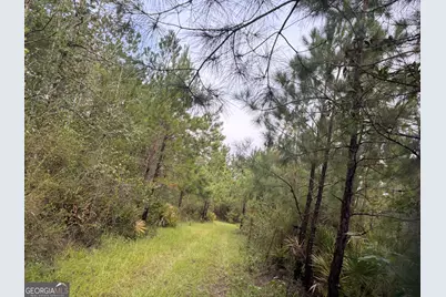 0 South River Road, Waycross, GA 31503 - Photo 40