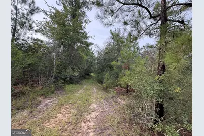 0 South River Road, Waycross, GA 31503 - Photo 32