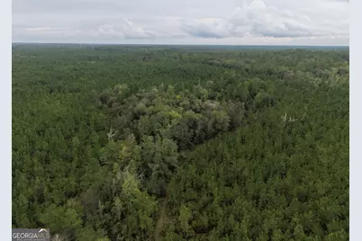 0 South River Road, Waycross, GA 31503 - Photo 6