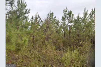 0 South River Road, Waycross, GA 31503 - Photo 38