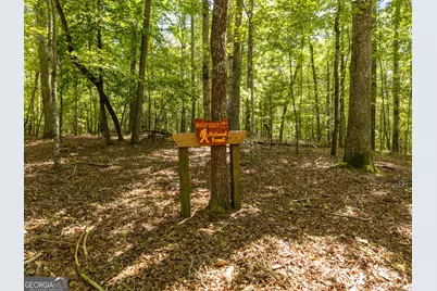 46 Gooseberry Trail #0, Blue Ridge, GA 30513 - Photo 34