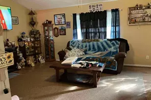 569 Bobcat Trail, Nicholls, GA 31554 - Photo 14
