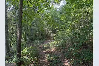 0 Caney Head Road, Roopville, GA 30170 - Photo 6