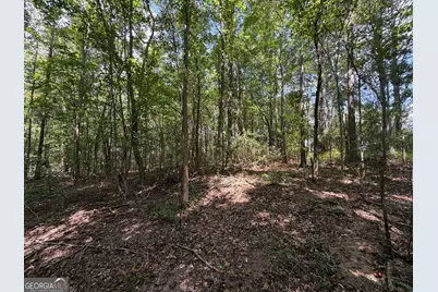 0 Caney Head Road, Roopville, GA 30170 - Photo 12