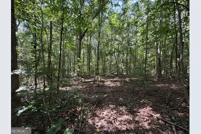 0 Caney Head Road, Roopville, GA 30170 - Photo 14