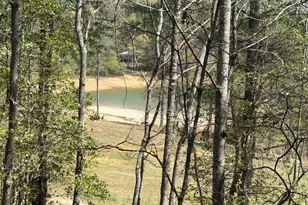 238 Virginia Ln, Blairsville, GA 30512 - Photo 38