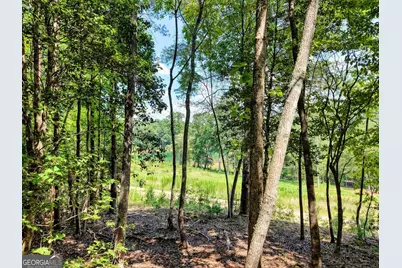 238 Virginia Lane, Blairsville, GA 30512 - Photo 36