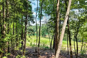 238 Virginia Ln, Blairsville, GA 30512 - Photo 36