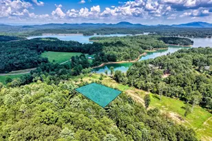 238 Virginia Ln, Blairsville, GA 30512 - Photo 42
