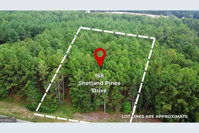 168 Shetland Pines Drive, Macon, GA 31216 - Photo 1