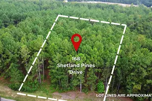 168 Shetland Pines Dr, Macon, GA 31216 - Photo 1