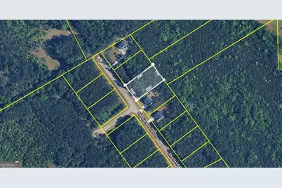 163 Shetland Pines Drive, Macon, GA 31216 - Photo 2