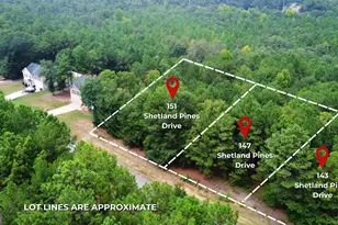147 Shetland Pines Dr, Macon, GA 31216 - Photo 1