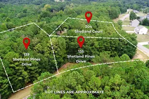 139 Shetland Pines Dr, Macon, GA 31216 - Photo 1
