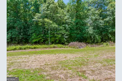21 Acres Cochran Road, Madison, GA 30650 - Photo 16